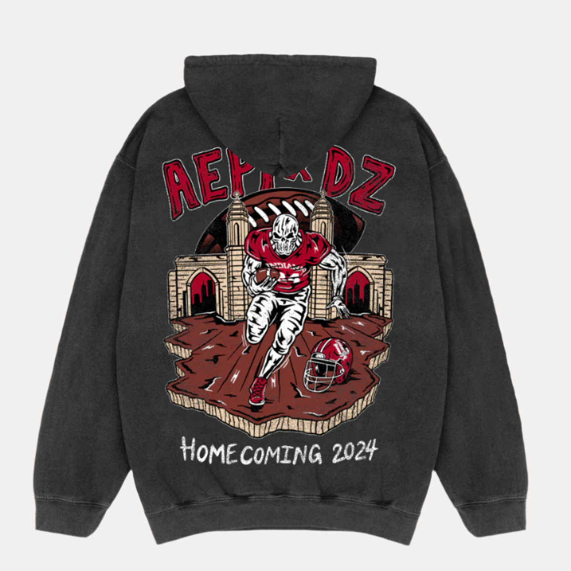 DZ x AEPI HOMECOMING 2024 HOODIE