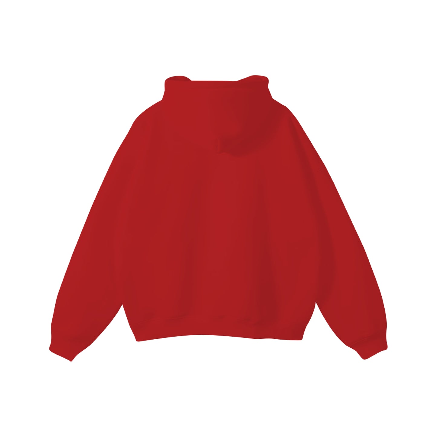 ZBT X APHI HOCO HOODIE