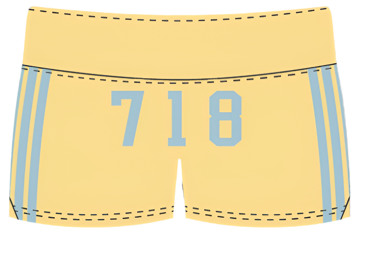 MICHIGAN TRI DELT LOW RISE SHORTS