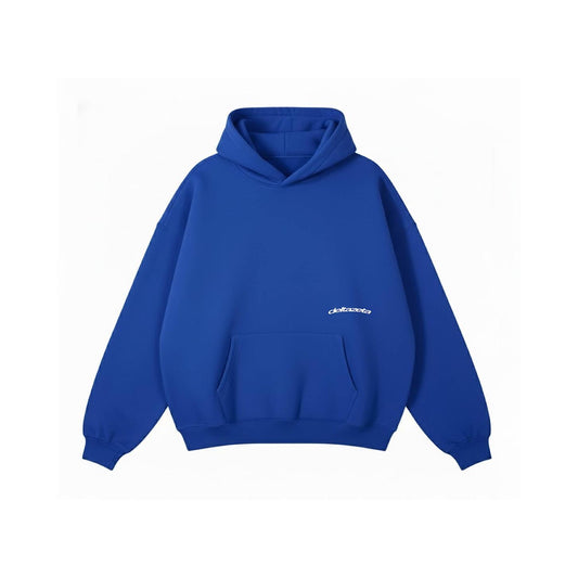 DELTA ZETA HEAVYWEIGHT HOODIE